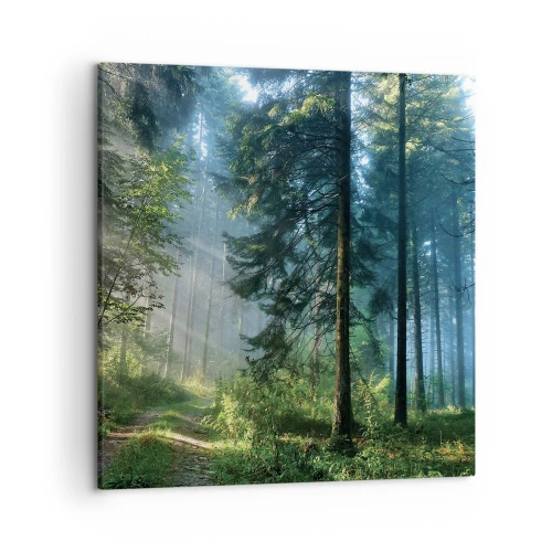 Canvas picture - Radiant at Dawn - 50x50 cm