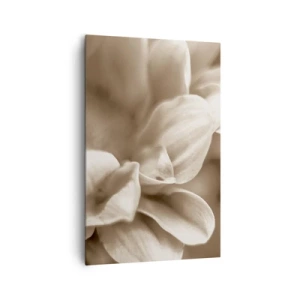 Canvas picture - Soft as a Smile - 80x120 cm