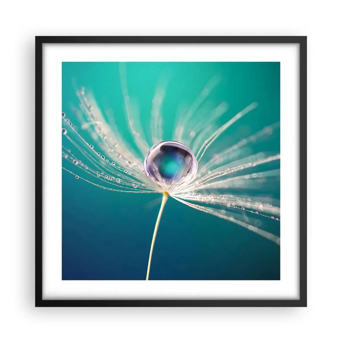 Poster in black frame - Mystical Moment - 50x50 cm