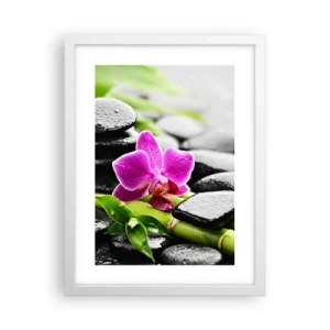 Poster in white frmae - In a Peaceful Balance - 30x40 cm