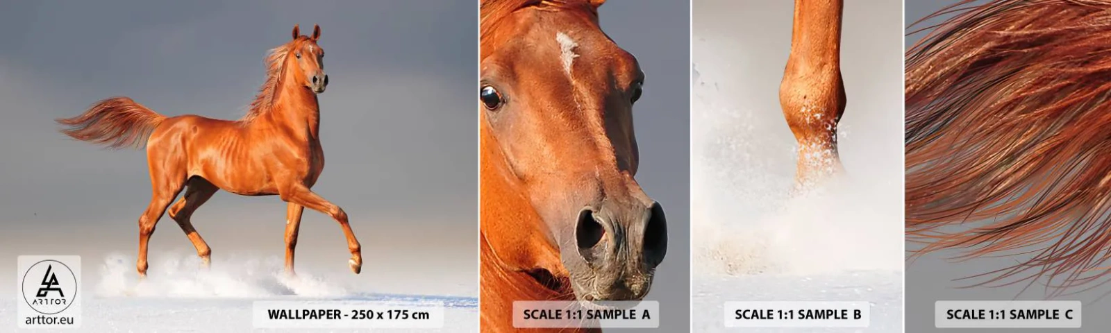 Photo Wallpaper Sample Self-Adhesive Deluxe Sticker - Dancing Grace - Animals, Horse, Nature - 100x30 cm