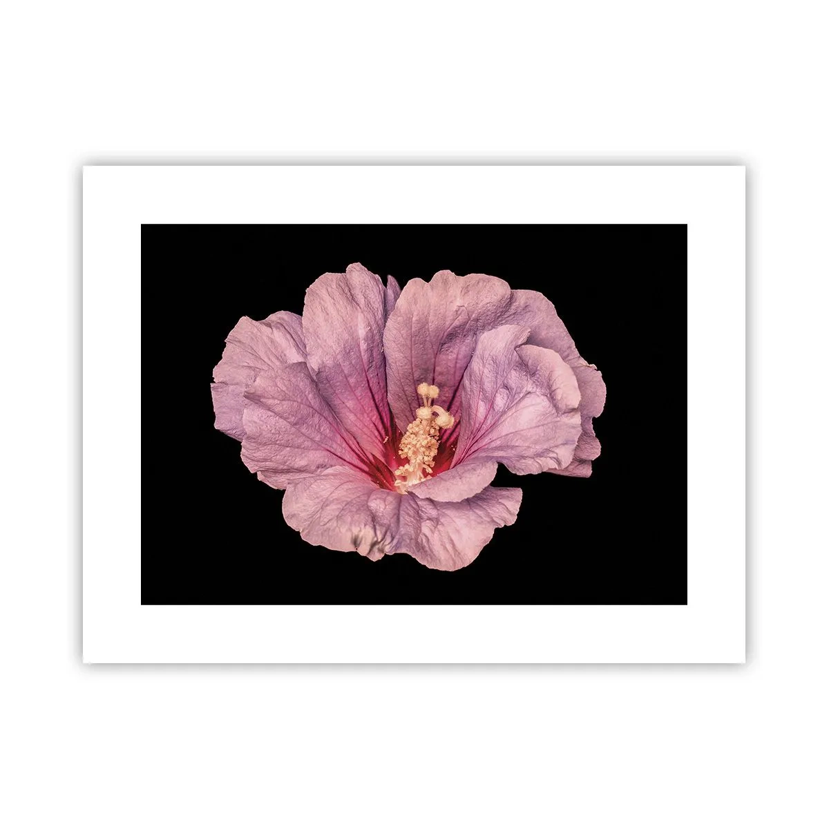 Poster - Straight from the Heart - 40x30 cm