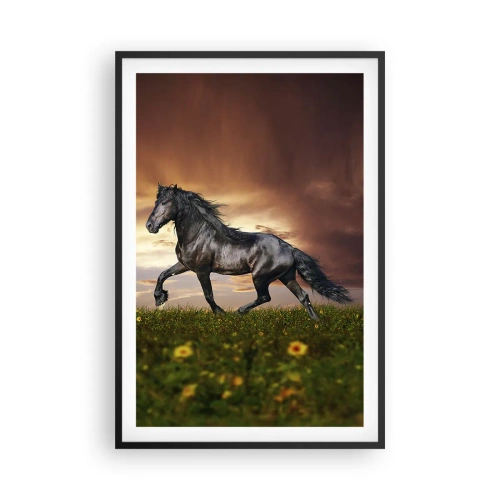 Poster in black frame - Black Prince - 61x91 cm