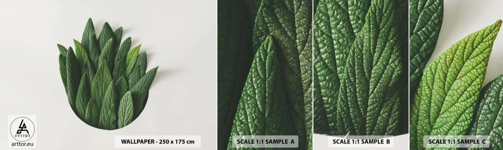 Photo Wallpaper Sample Self-Adhesive Deluxe Sticker - Untamed Curiosity - Sage, Sage leaf, Herb - 100x30 cm