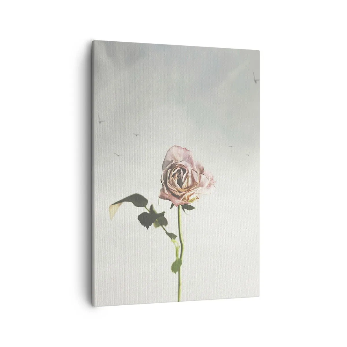 Canvas picture - Welcoming of Spring - 50x70 cm
