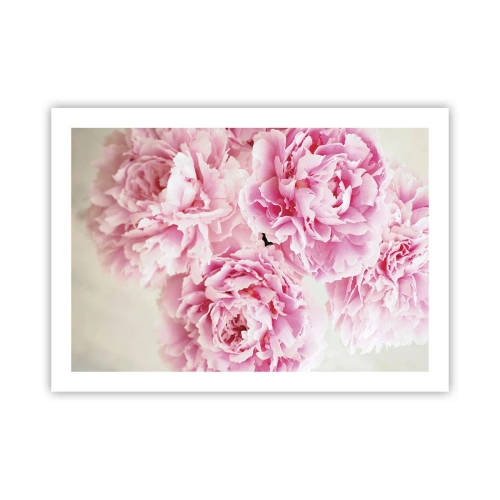 Poster - In Pink Splendour - 70x50 cm