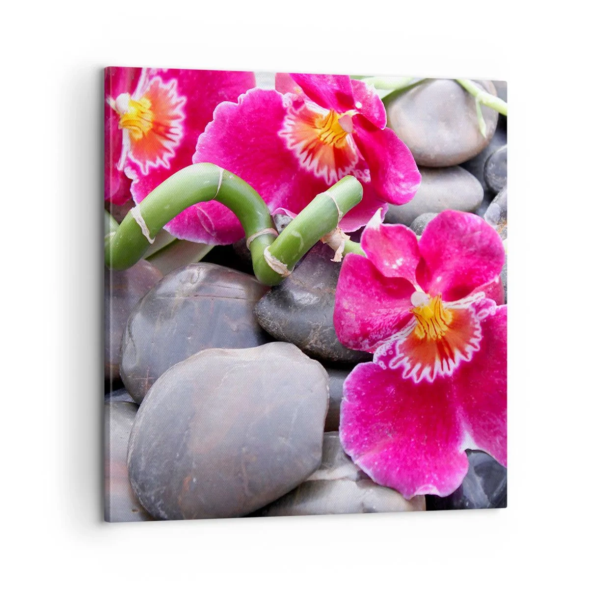 Canvas picture - Coolness and Heat - 60x60 cm