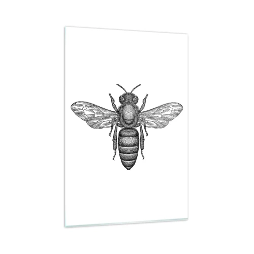 Glass picture - Insect Portrait - 80x120 cm