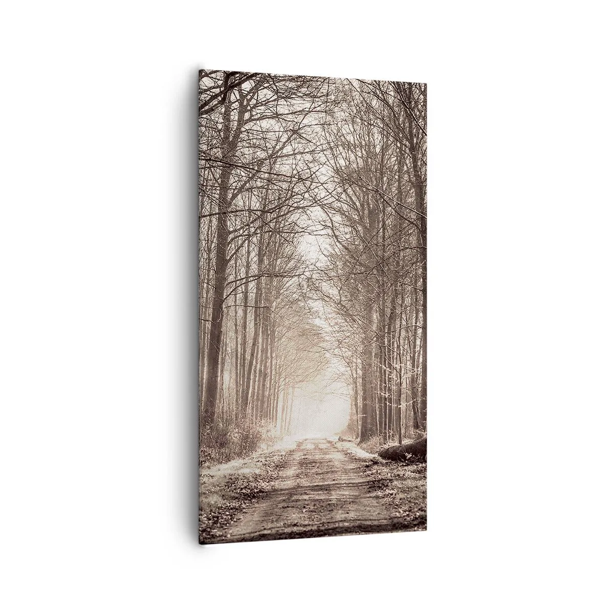 Canvas picture - Cathedral of the Forest - 65x120 cm