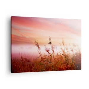 Canvas picture - A field of grass against the backdrop of a picturesque sunset - 70x50cm - Blowing in the Wind - Modern wall decoration for the living room and bedroom ARTTOR