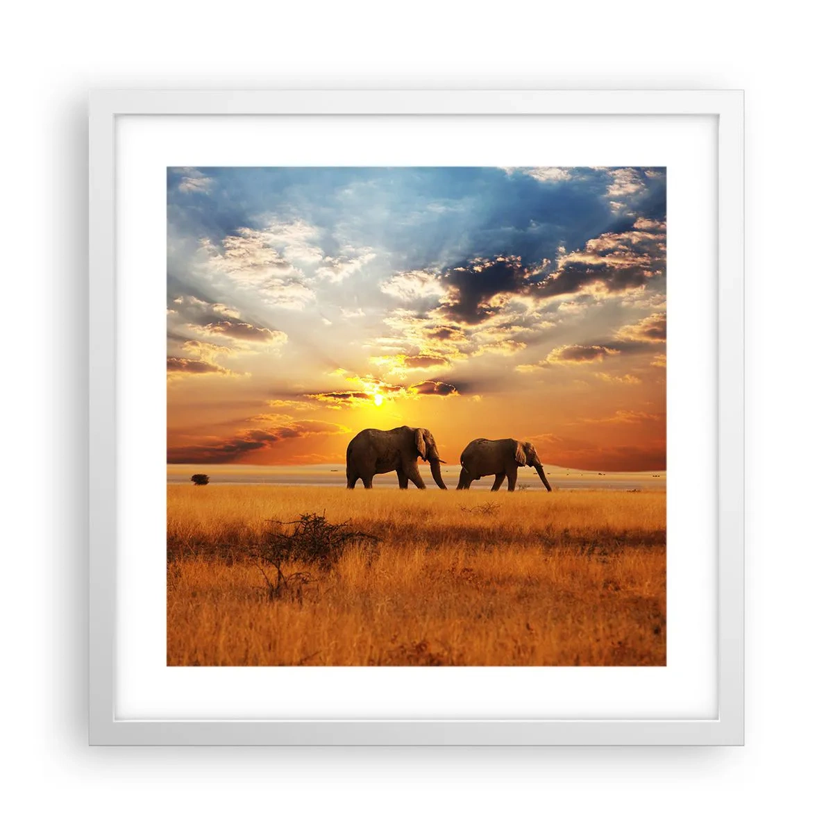 Poster in white frmae - Family Walk - 40x40 cm