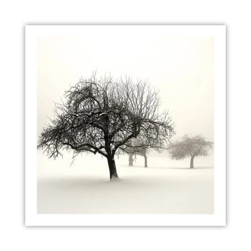 Poster - Winter Dream - 60x60 cm