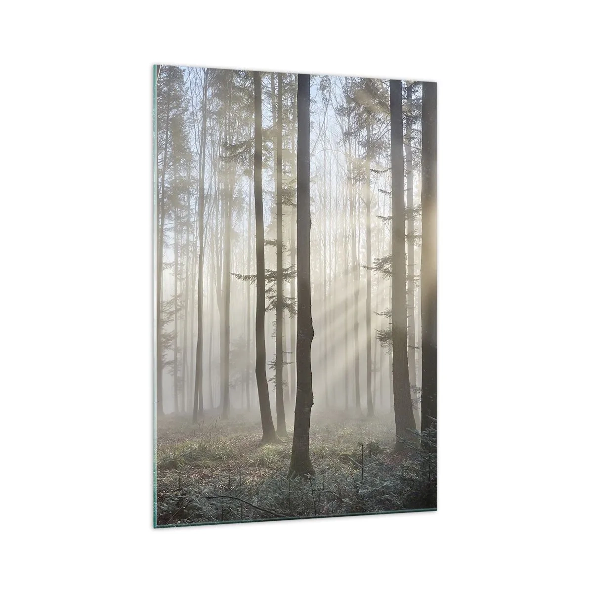 Glass picture - Fog Has Woken up Too - 70x100 cm