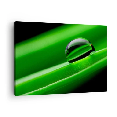 Canvas picture - Close-up of a dew drop on a green leaf - 70x50cm - Life from a Close-Up - Modern wall decoration for the living room and bedroom ARTTOR