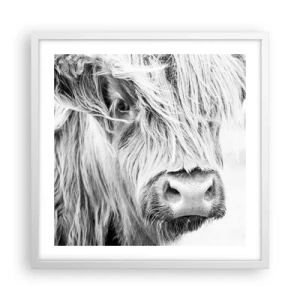 Poster in white frmae - Scottish Wilderness - 50x50 cm