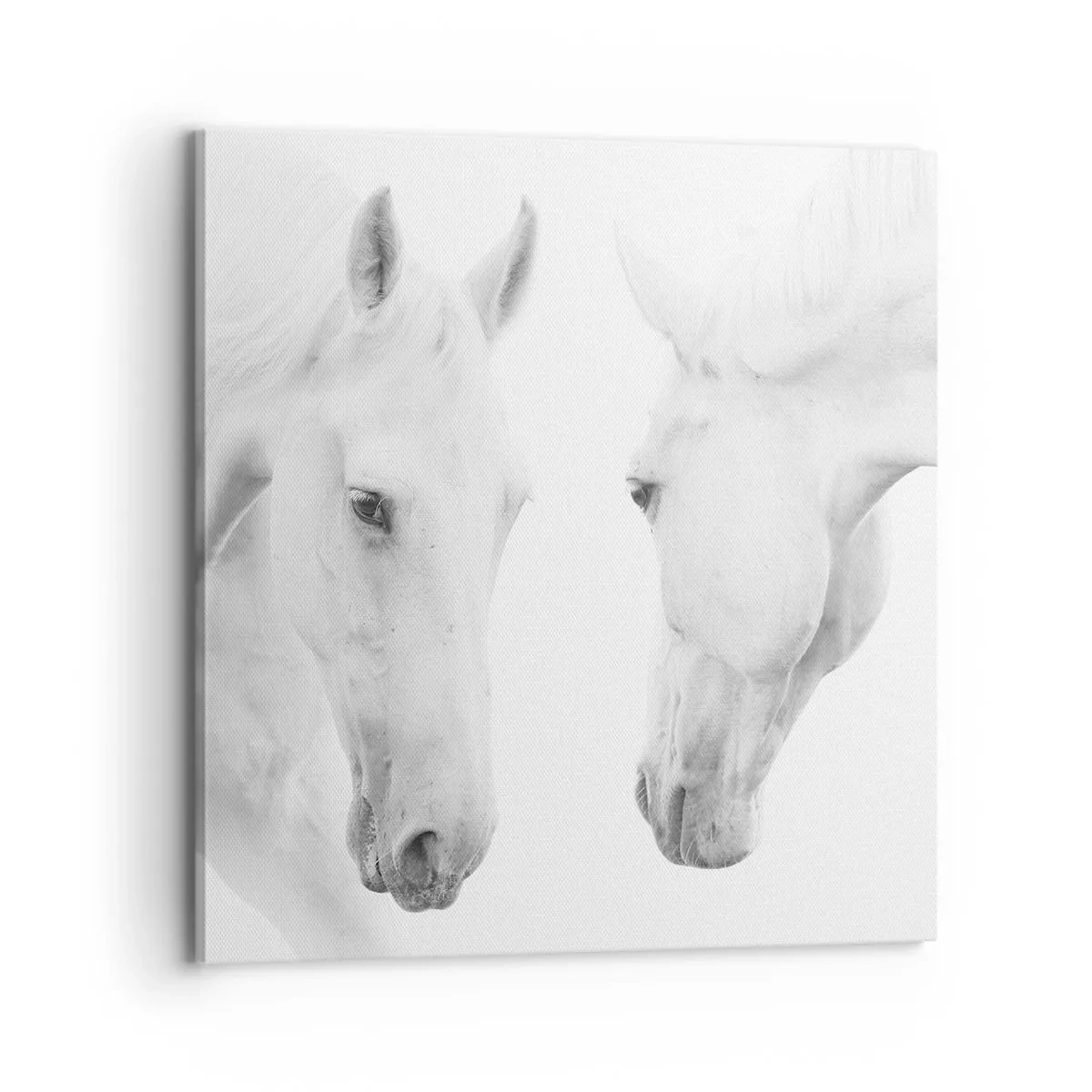 Canvas picture - Is this friendship…? - 70x70 cm