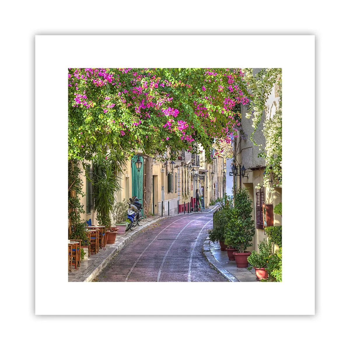Poster - Blooming Alley - 30x30 cm