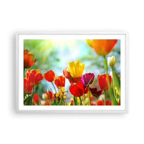 Poster in white frmae - All Colours of the Sun - 70x50 cm