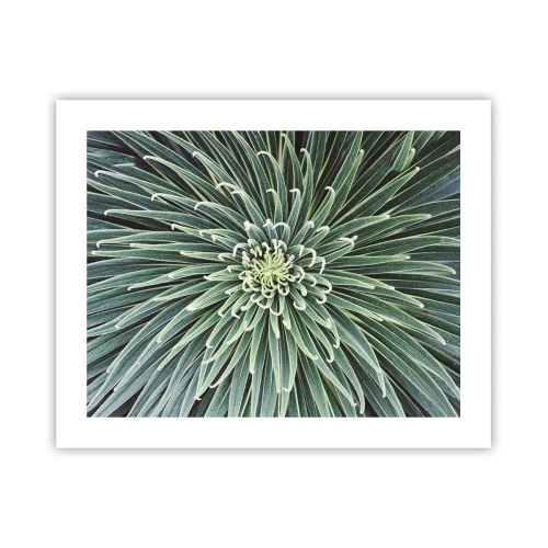 Poster - Birth of a Star - 50x40 cm