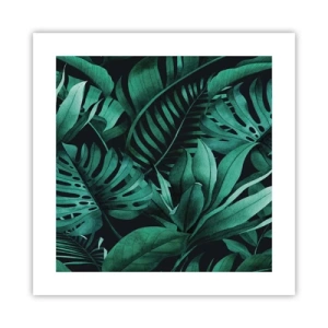 Poster - Depth of Tropical Green - 40x40 cm