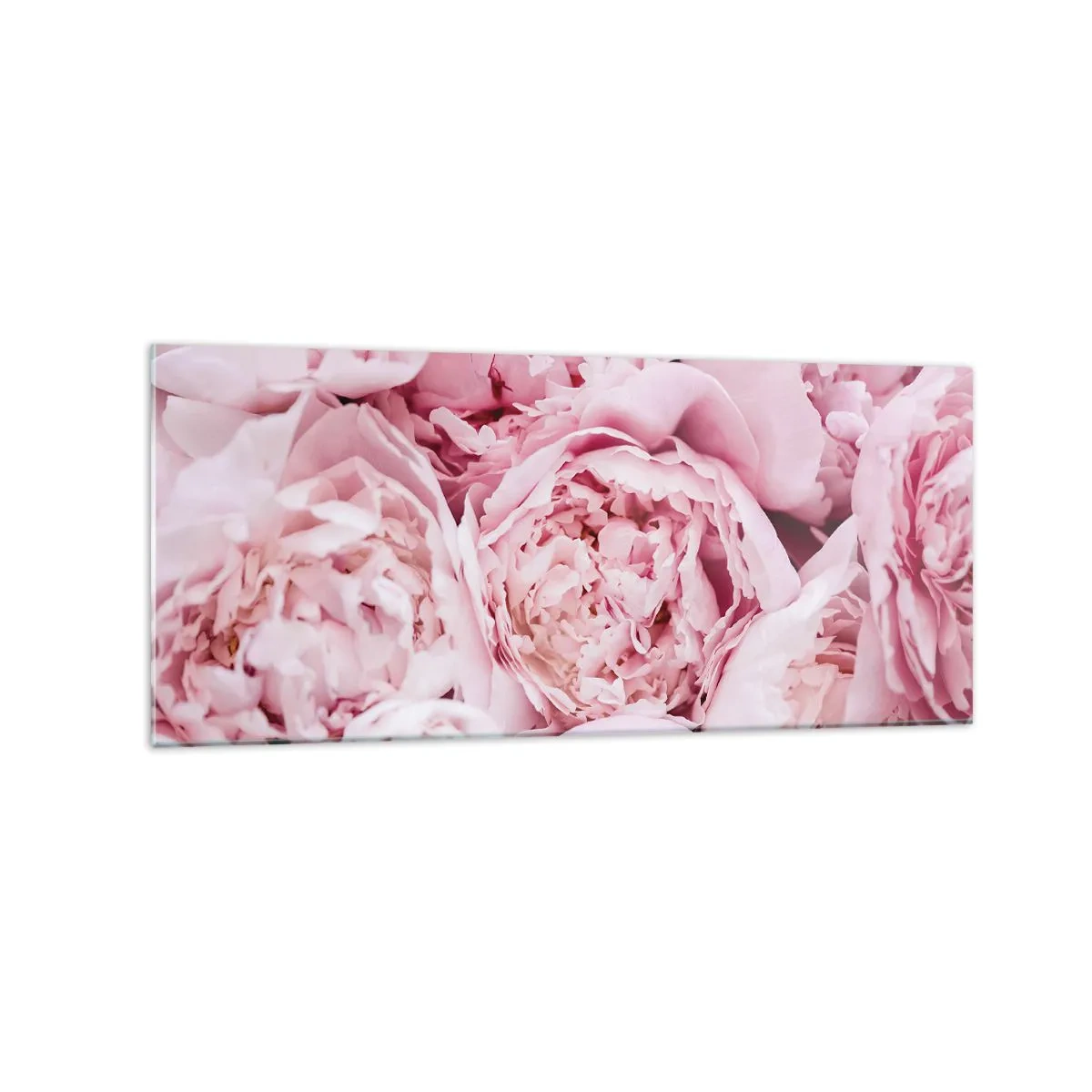 Glass picture - Cuddly and Fragrant - 120x50 cm