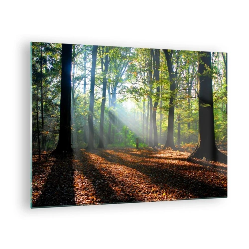Glass picture - A forest in the rays of the sun in an autumn scenery - 70x50cm - Highs And Lows - Modern wall decoration for the living room and bedroom ARTTOR