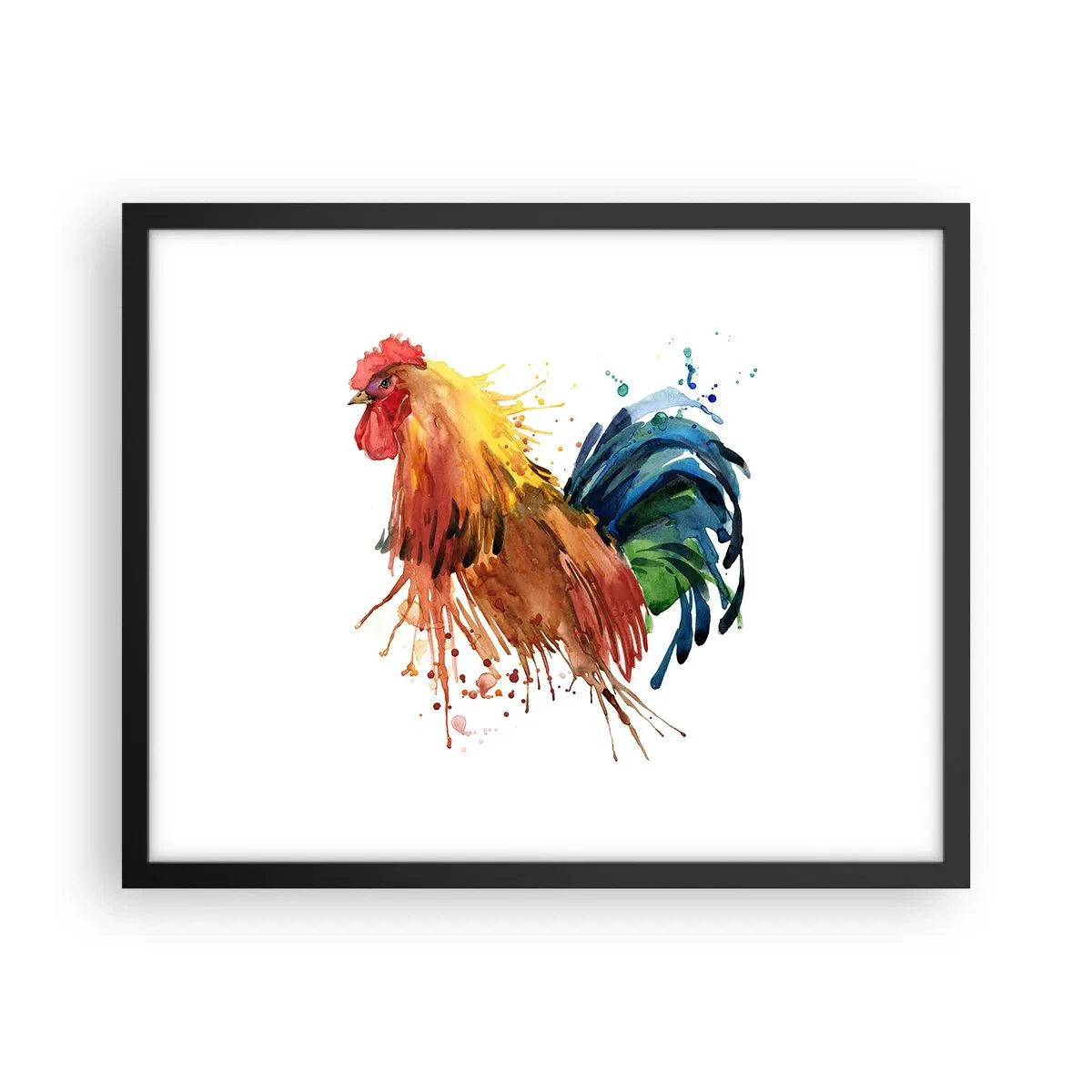 Poster in black frame - King Rooster - 50x40 cm