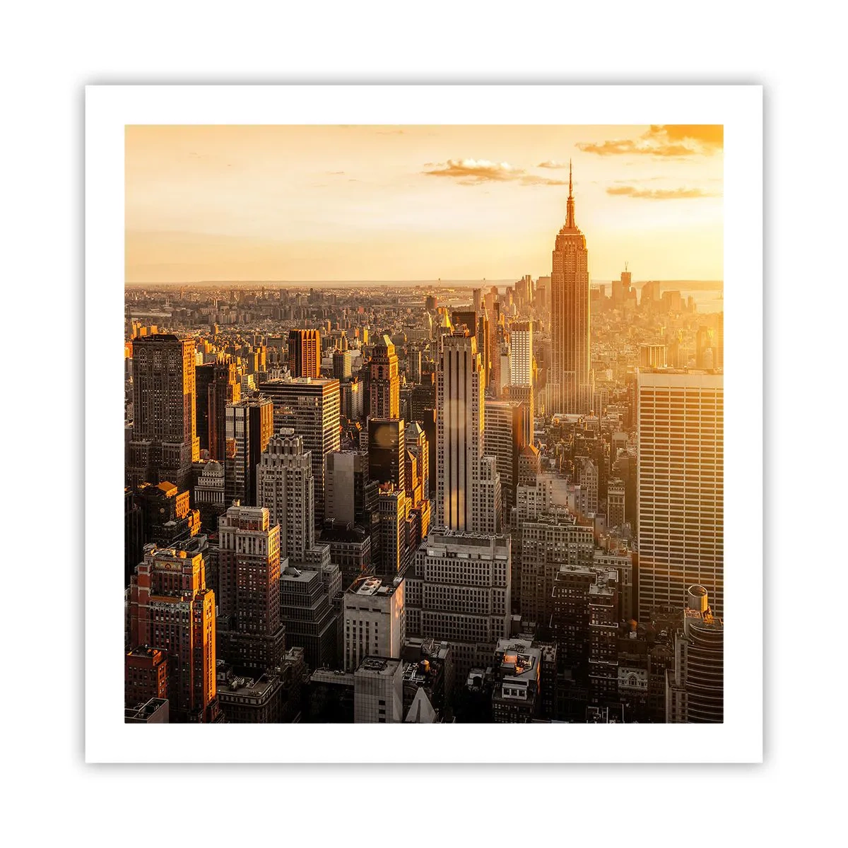 Poster - Growing in the Sun - 60x60 cm
