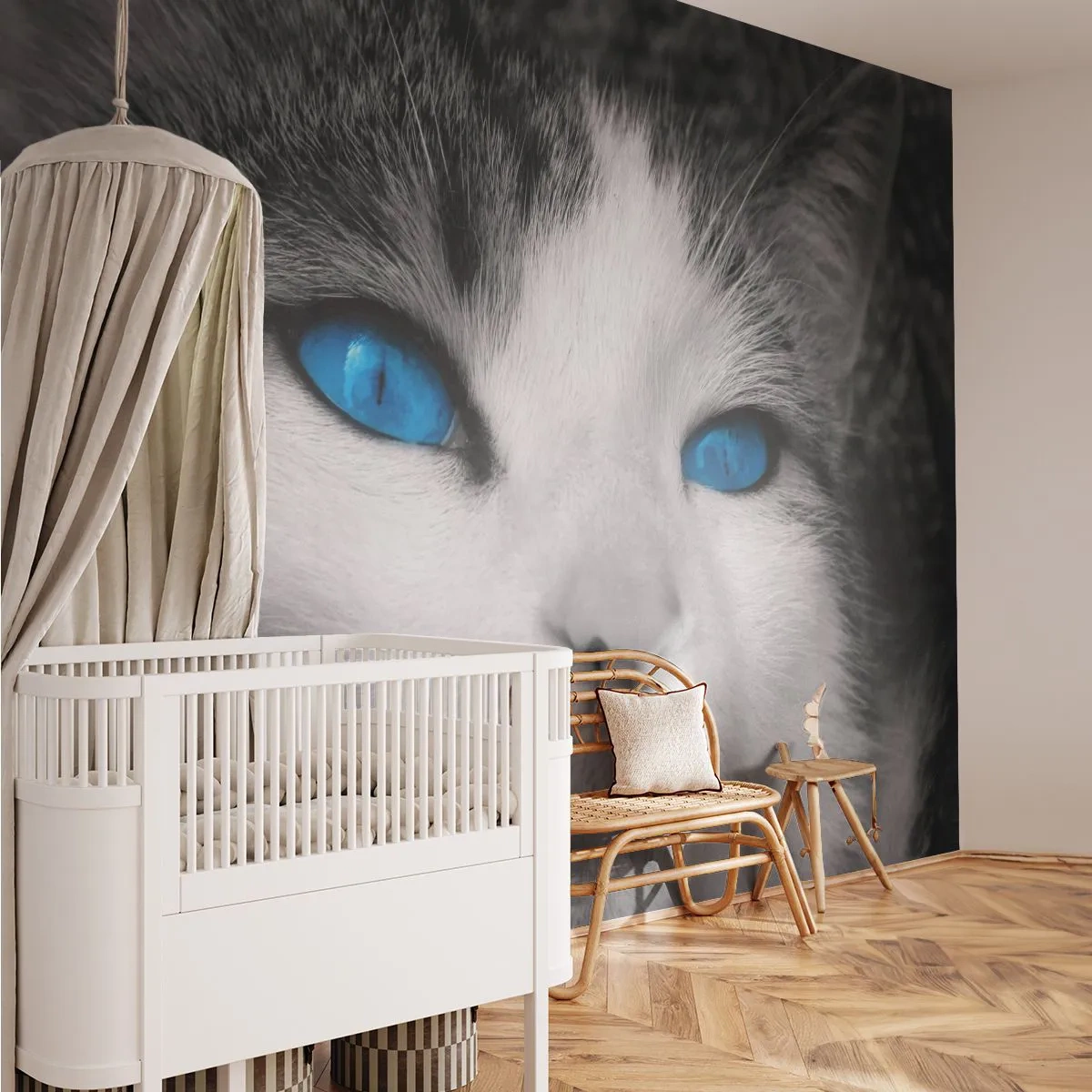 Photo Wallpaper Premium Sand - Extremely Blue-eyed - Animals, Cat, Blue eyes - 450x315 cm