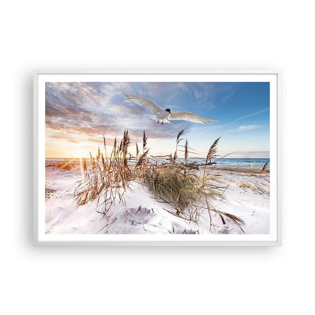 Poster in white frmae - Wind from the Sea - 100x70 cm