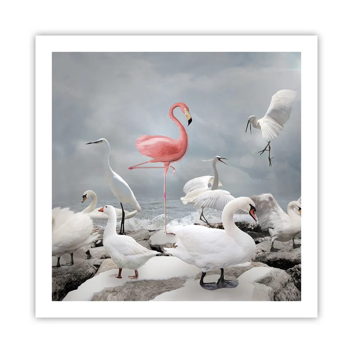 Poster - Where Did I Come from? - 60x60 cm