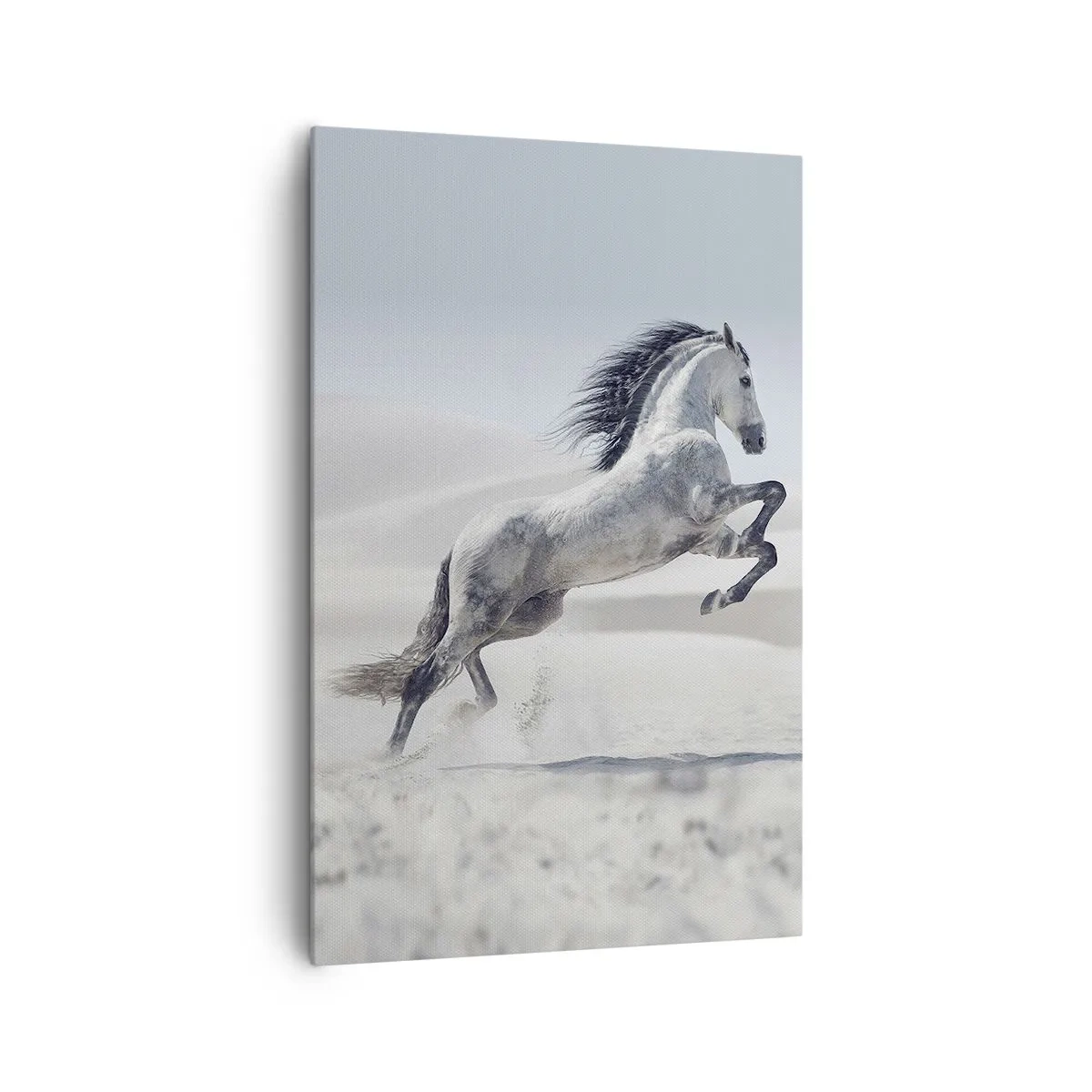 Canvas picture - Arabic Prince - 80x120 cm