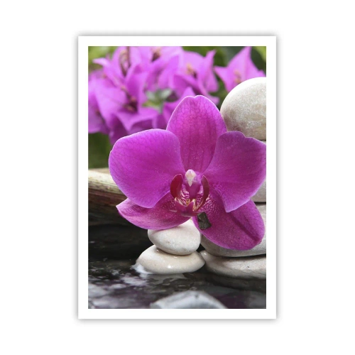 Poster - You Are Already Resting - 70x100 cm