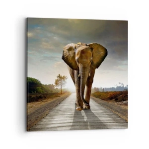 Canvas picture - Not in a China Shop - 70x70 cm