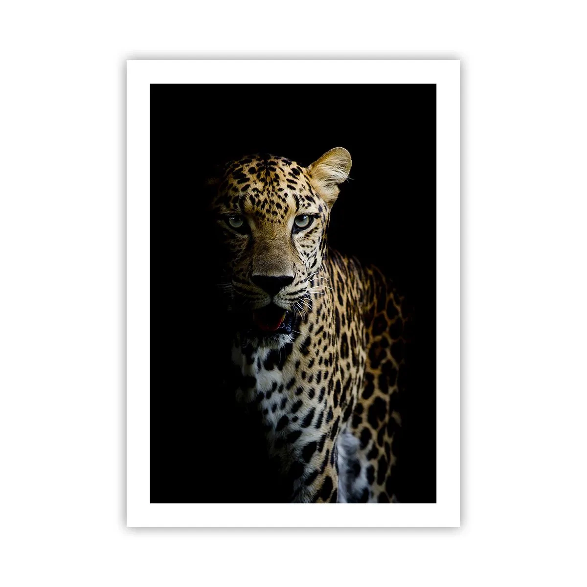 Poster - Dark Beauty - 50x70 cm