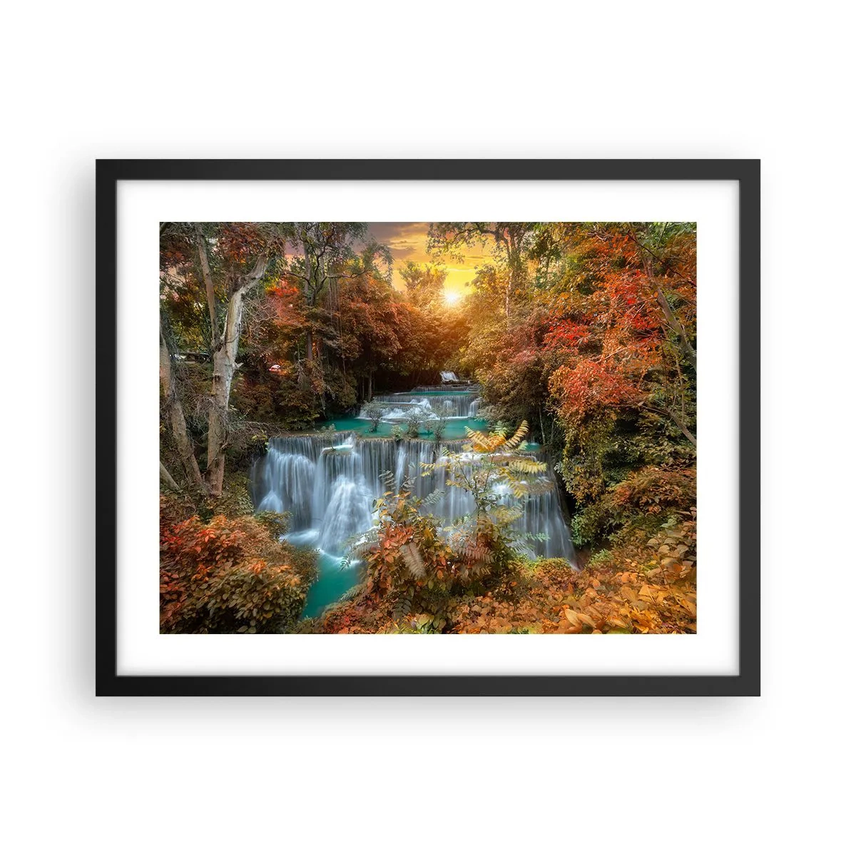 Poster in black frame - Hidden Forest Treasure - 50x40 cm