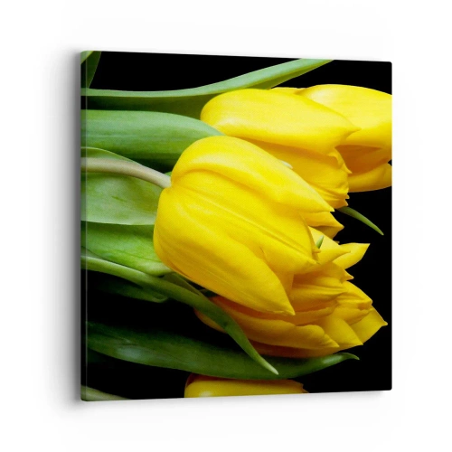 Canvas picture - Born from the Sun - 40x40 cm