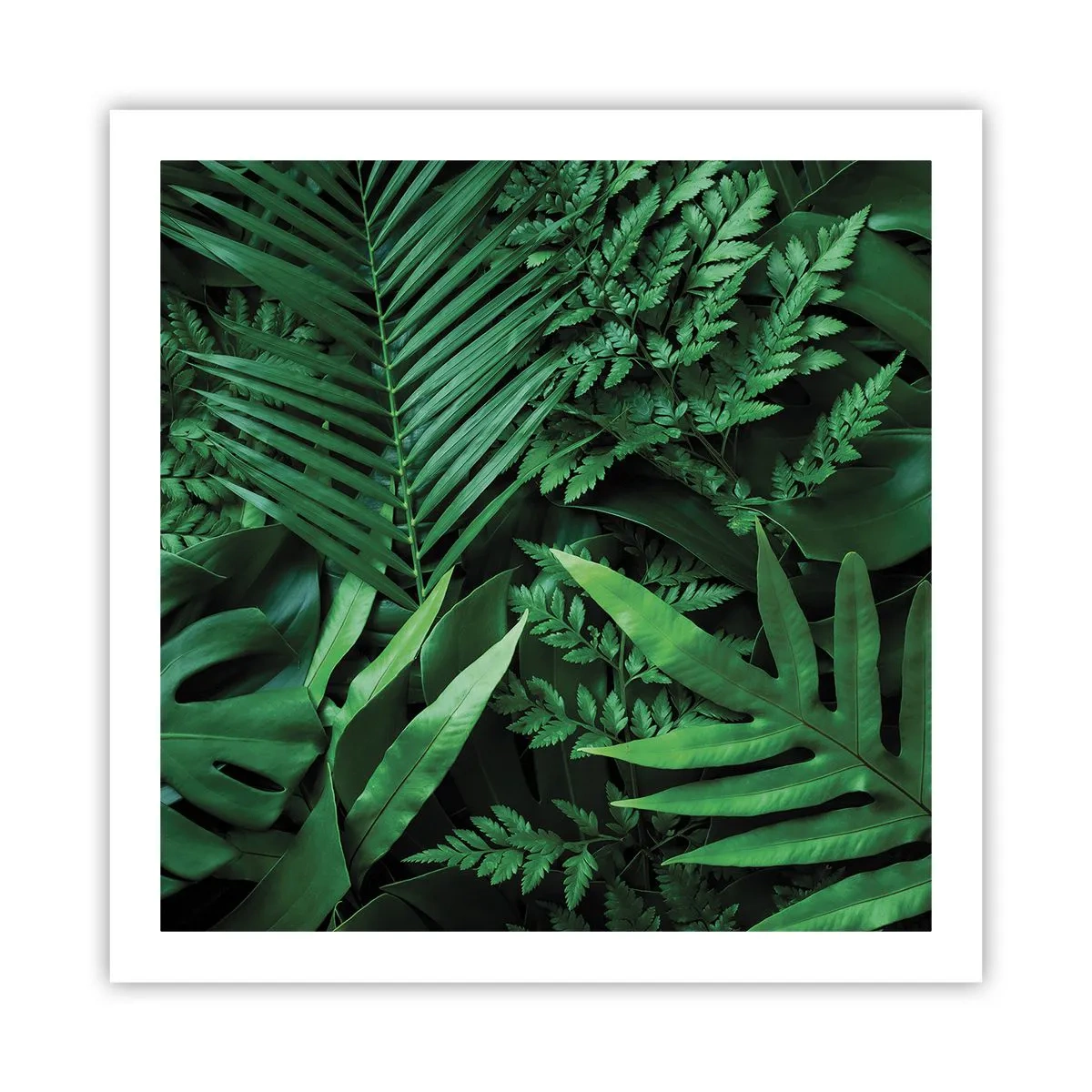 Poster - In a Green Hug - 60x60 cm