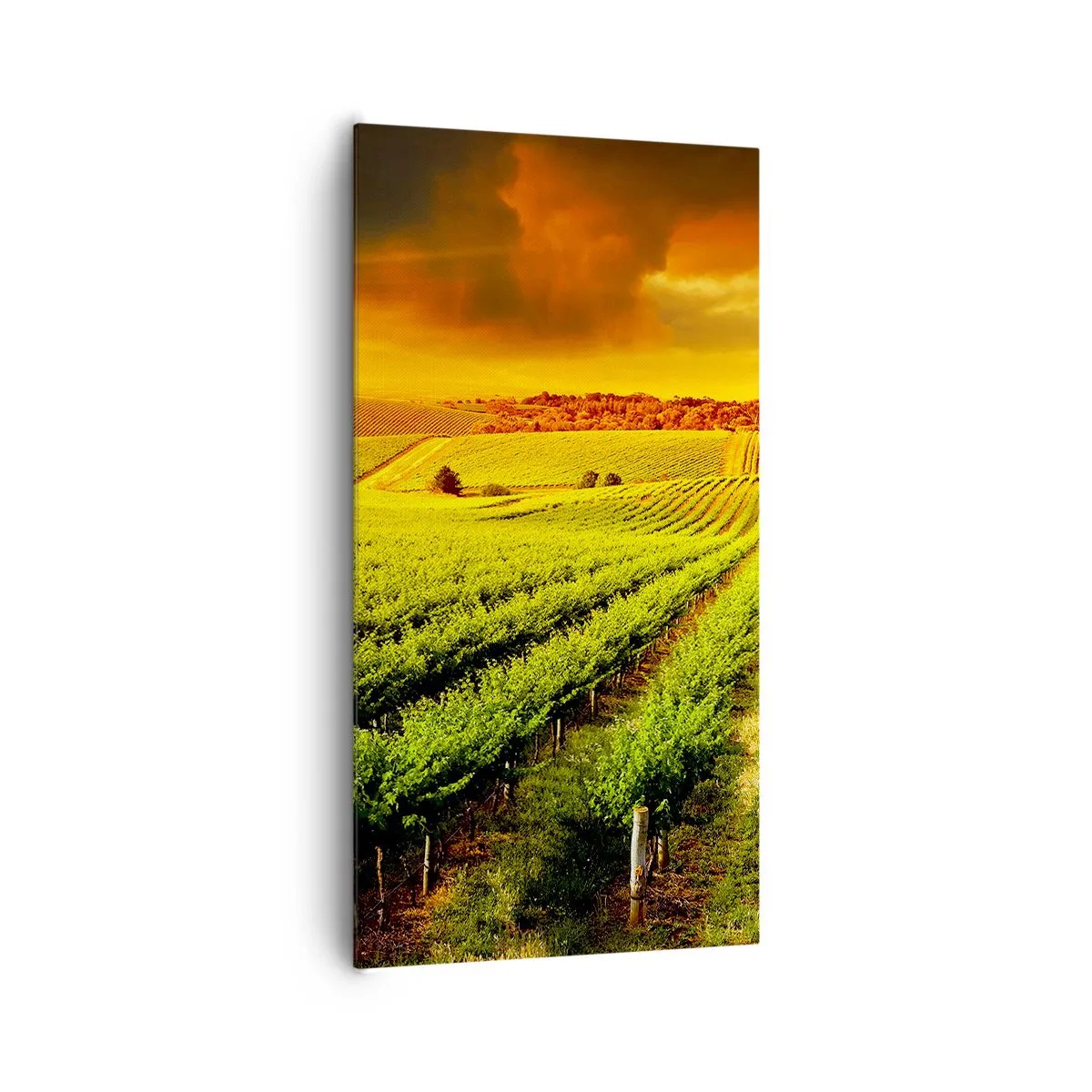 Canvas picture - Under Australian Sun - 65x120 cm
