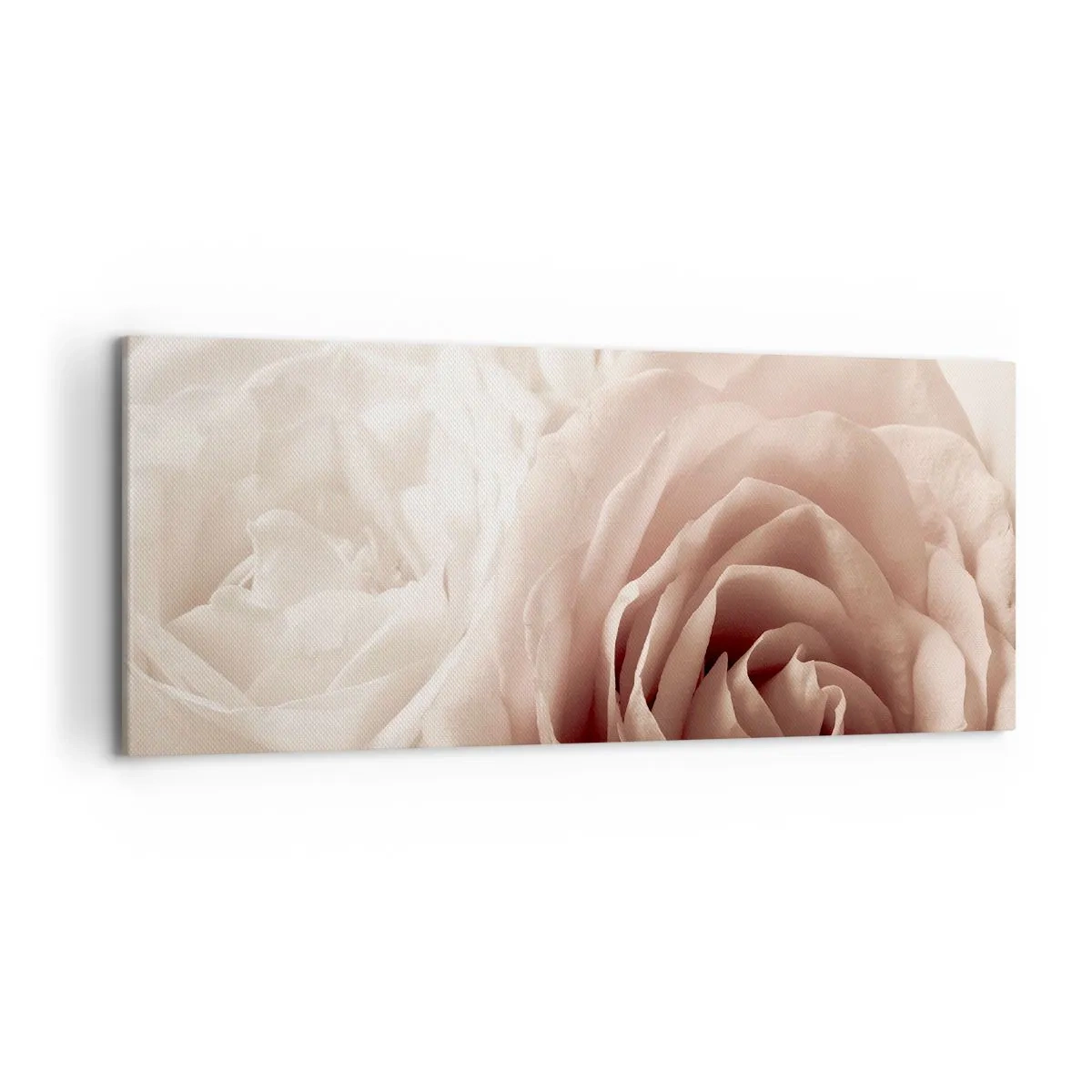 Canvas picture - In the Heart of a Rose - 120x50 cm