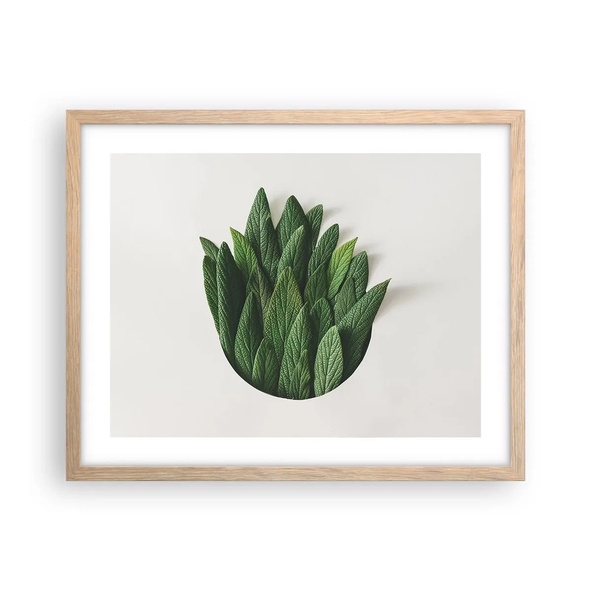 Poster in light oak frame - Untamed Curiosity - 50x40 cm