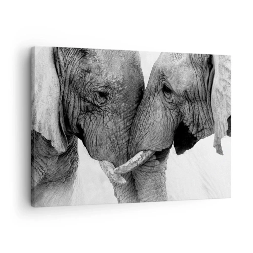 Canvas picture - Two elephants in a tender gesture against a monochrome background - 70x50cm - Hearty Confession - Modern wall decoration for the living room and bedroom ARTTOR