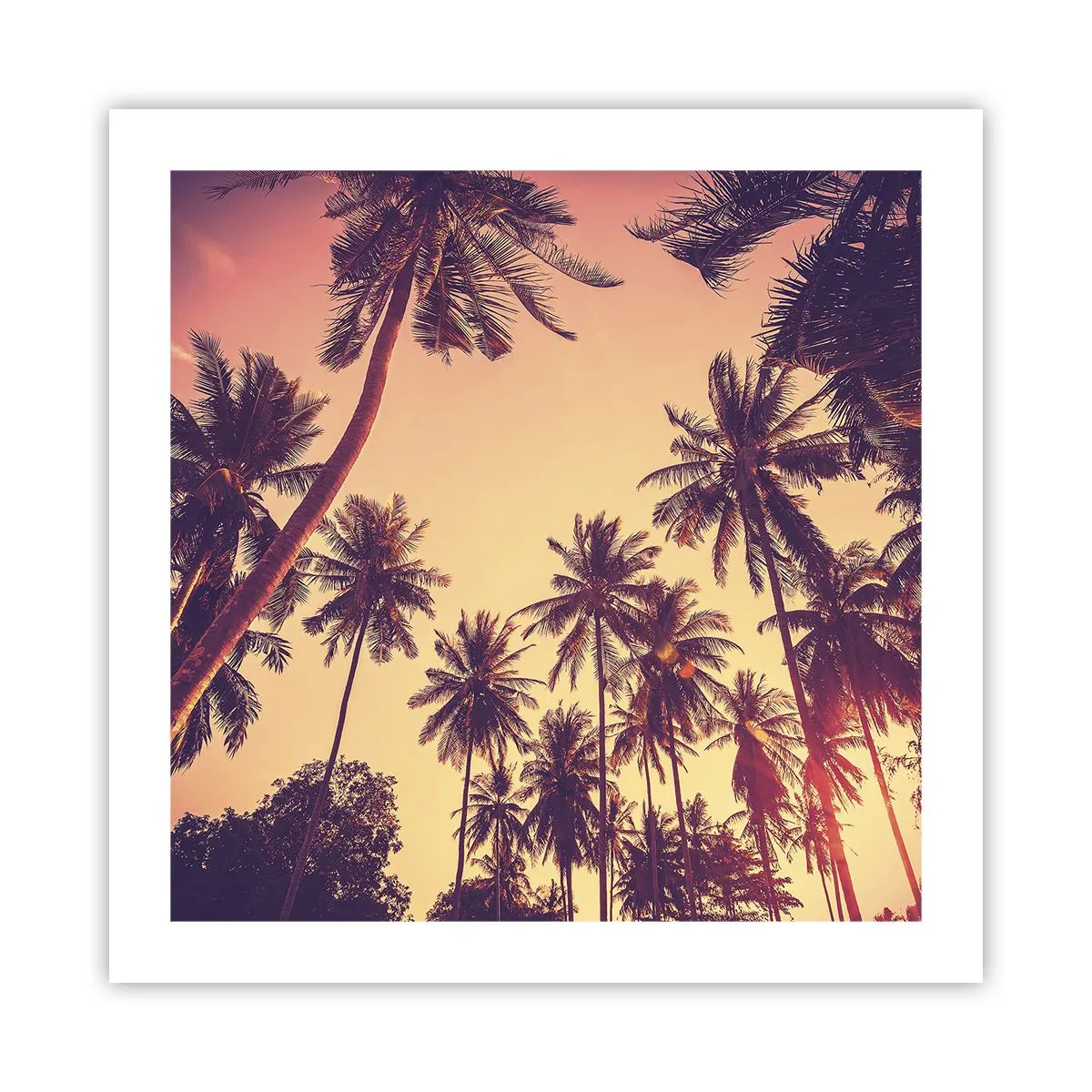 Poster - Tropical Variation - 50x50 cm