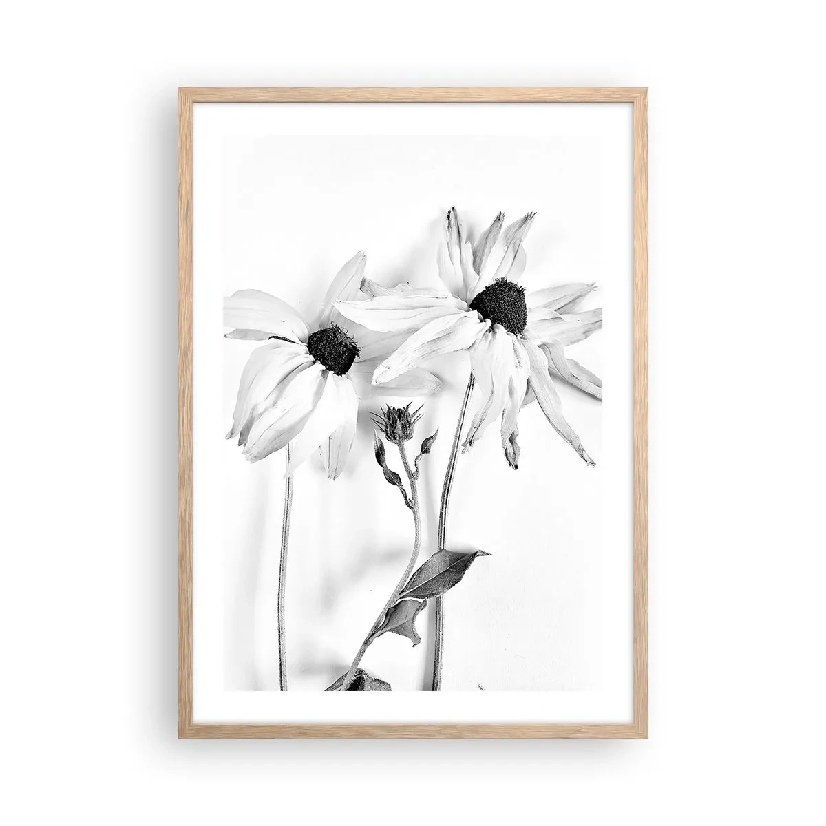 Poster in light oak frame - No one Wants To Be Alone - 50x70 cm