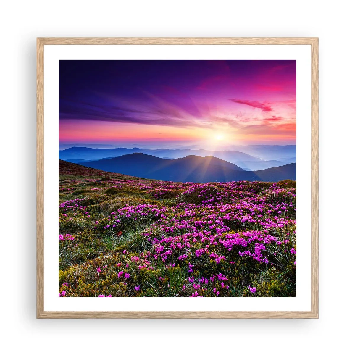 Poster in light oak frame - Smells Strongly of Herbs - 60x60 cm