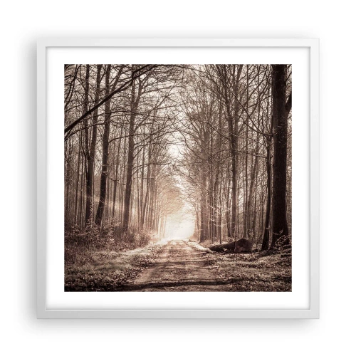 Poster in white frmae - Cathedral of the Forest - 50x50 cm