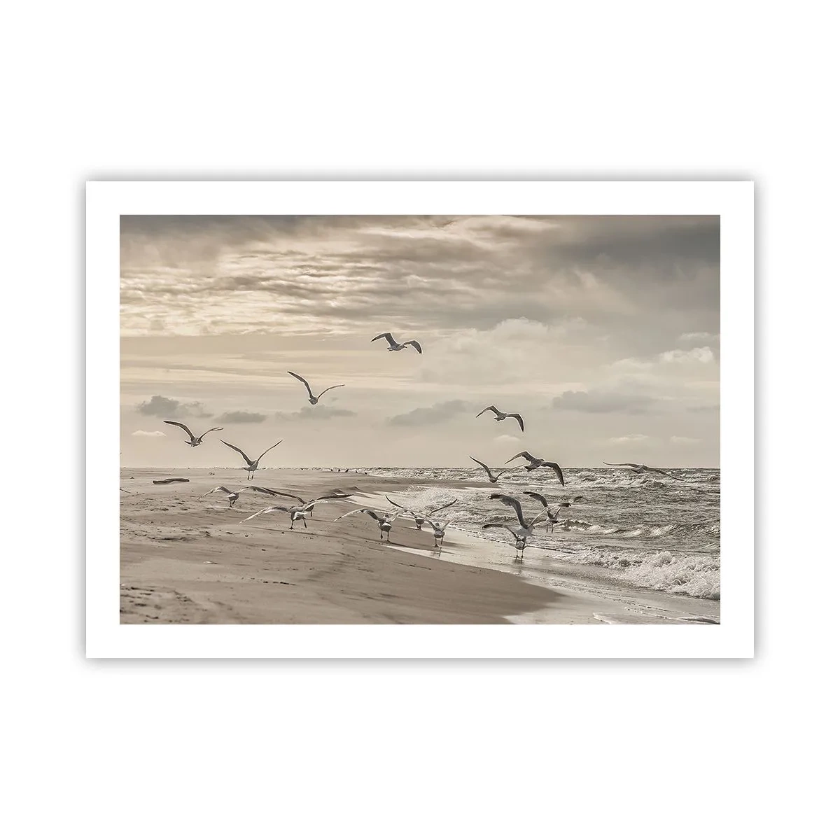 Poster - Sound of the Sea, Singing of the Birds - 70x50 cm