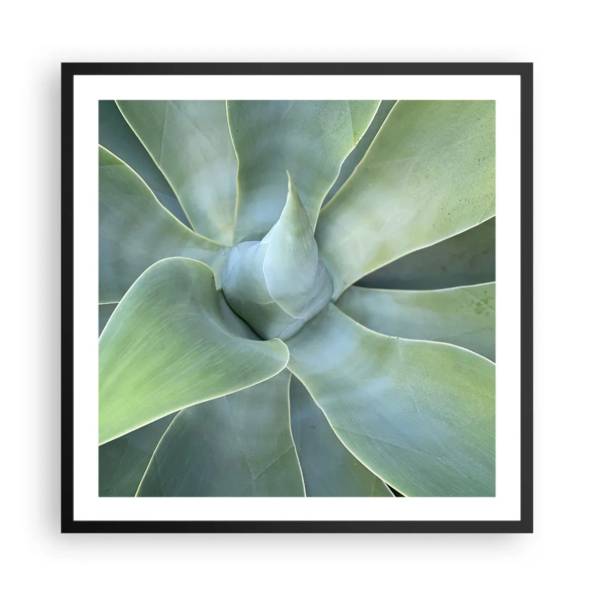Poster in black frame - Birth of Green - 60x60 cm