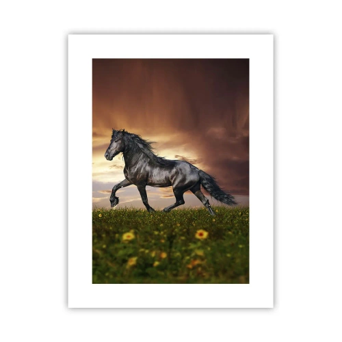 Poster - Black Prince - 30x40 cm