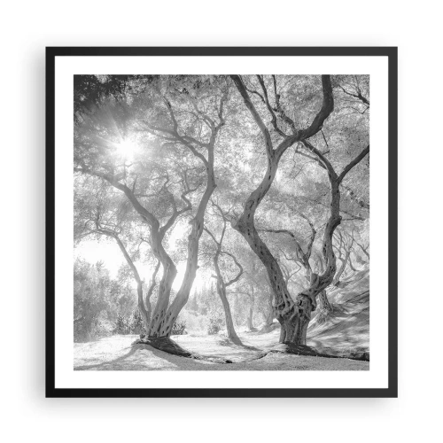 Poster in black frame - In an Olive Grove - 60x60 cm